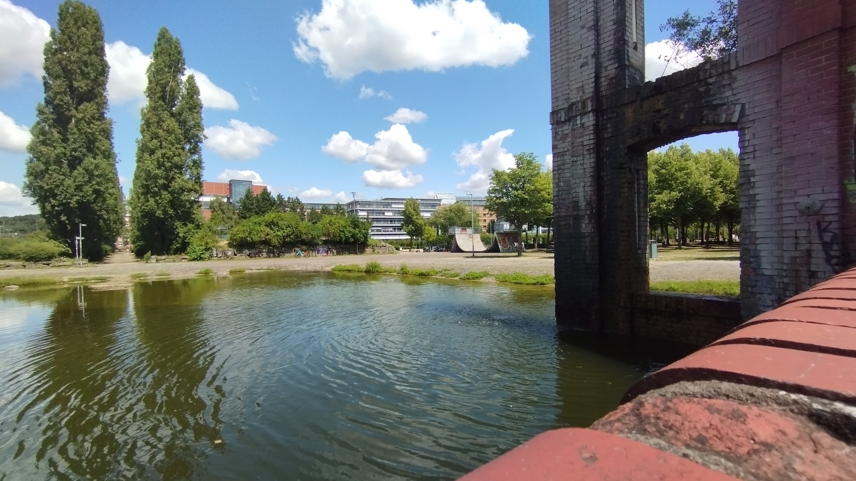 Burgerpark Hafeninsel skatepark